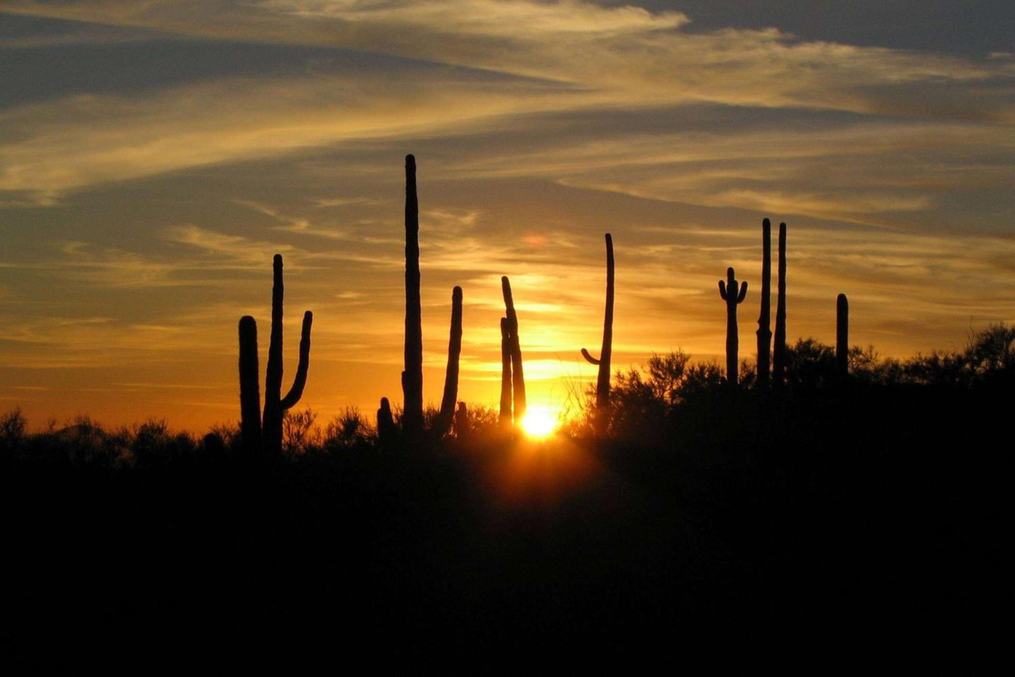 Westward Look Wyndham Grand Resort & Spa Tucson Eksteriør bilde