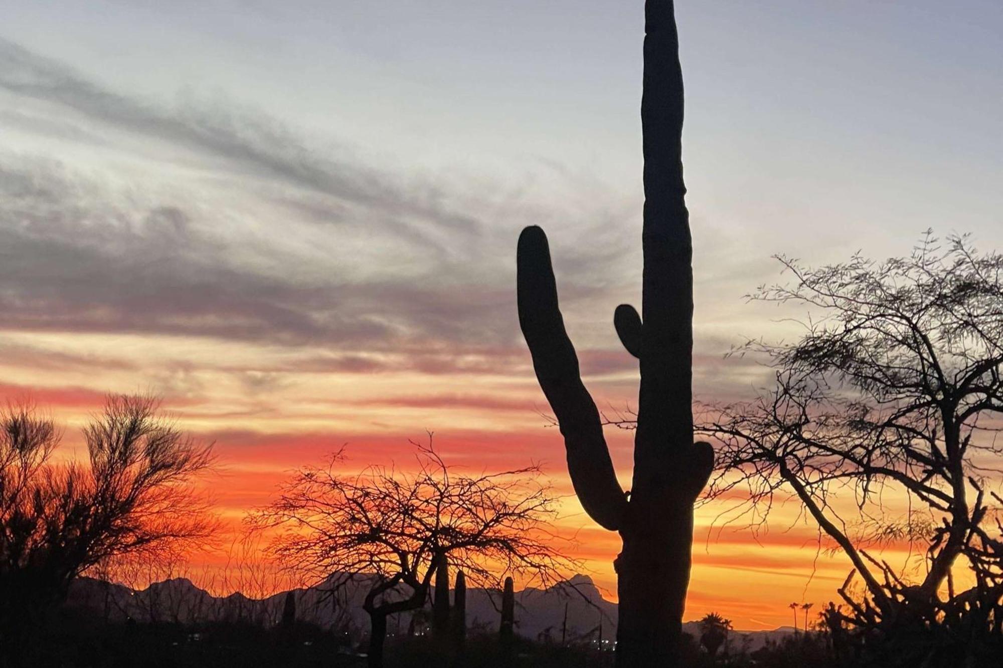 Westward Look Wyndham Grand Resort & Spa Tucson Eksteriør bilde